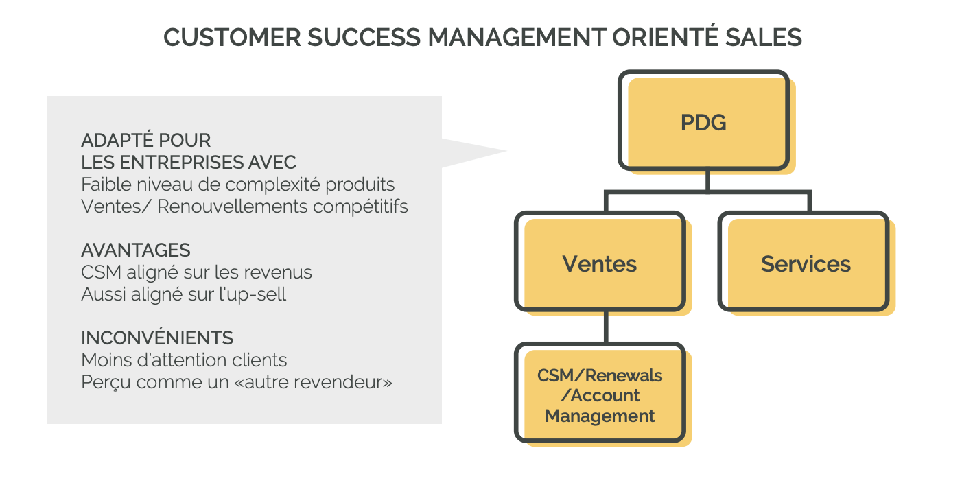 CSM orienté Sales