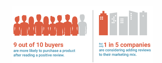 Entreprises B2B et avis clients