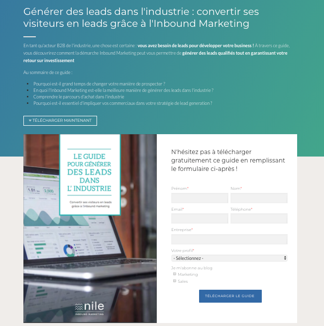 exemple-landing-page-industrie
