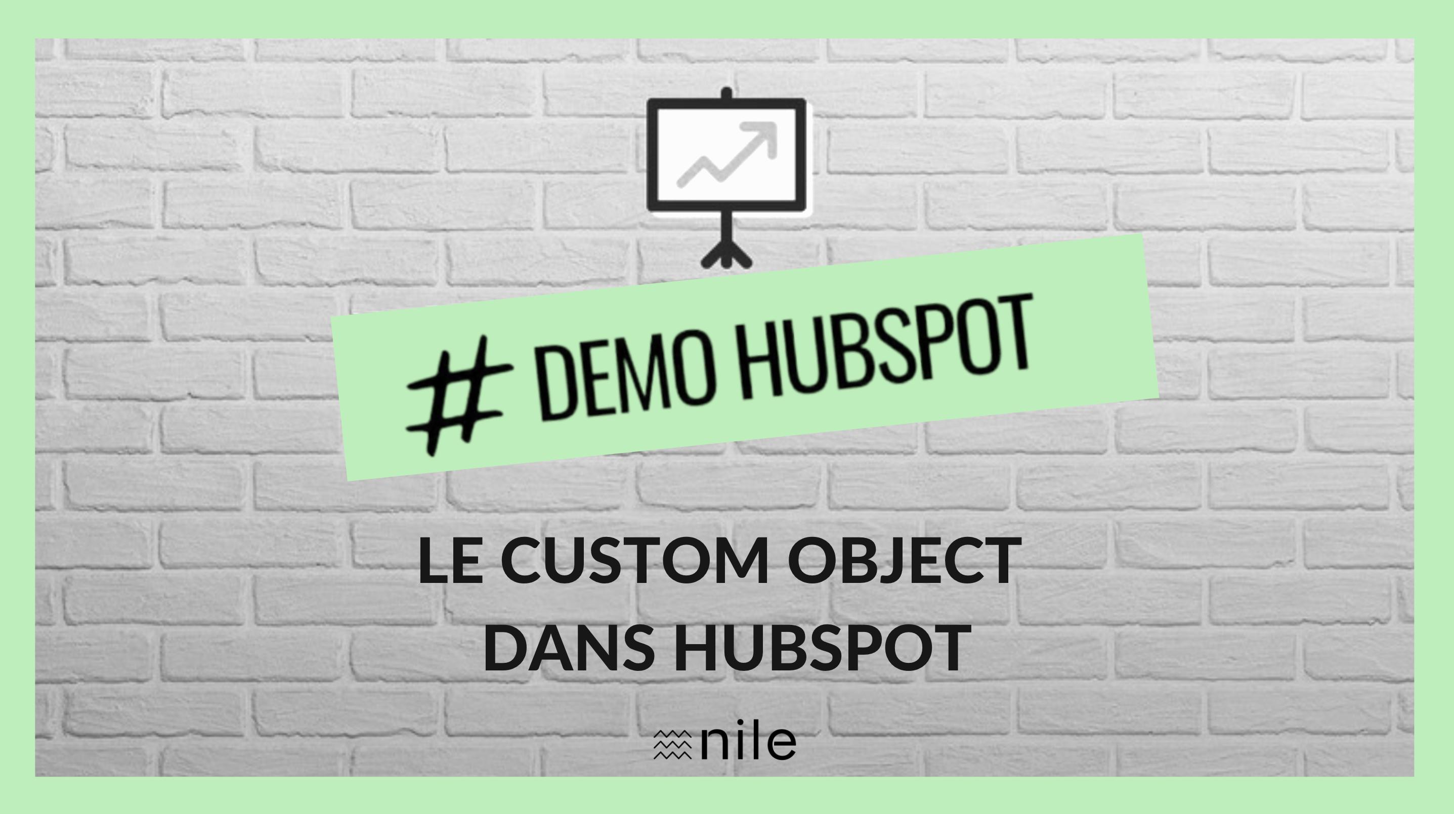 demo custom object hubspot Nile