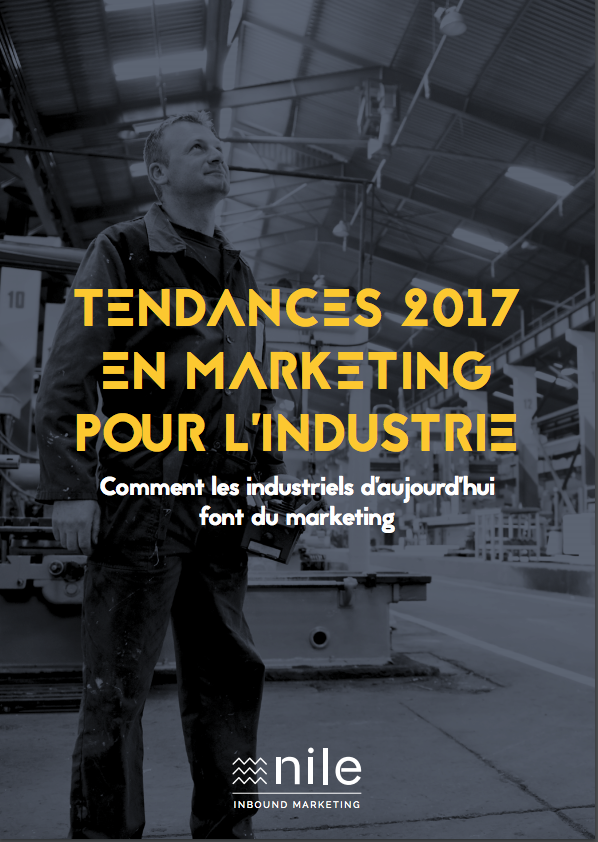 tendances-marketing-industrie-2017.png